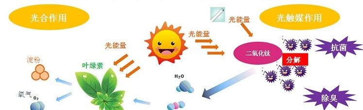 影響光觸媒除甲醛的產品及價格因素