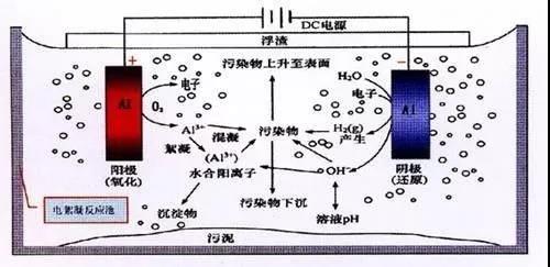 我買了一個(gè)甲醛檢測(cè)儀，吹口氣后發(fā)現(xiàn)原來我才是“地表最強(qiáng)”污染源！