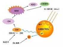 寶寶過敏，“罪魁禍首”是通風除甲醛不徹底